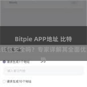 Bitpie APP地址 比特派钱包安全吗？专家详解其全面优势