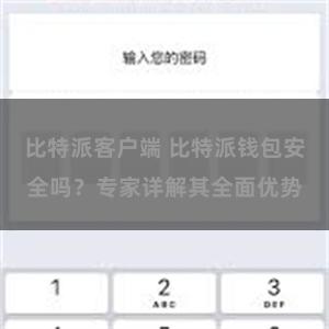 比特派客户端 比特派钱包安全吗？专家详解其全面优势