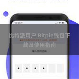 比特派用户 Bitpie钱包下载及使用指南