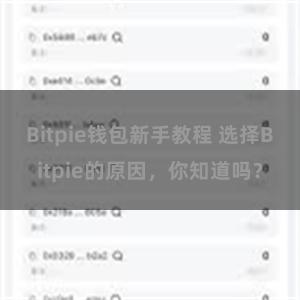 Bitpie钱包新手教程 选择Bitpie的原因，你知道吗？