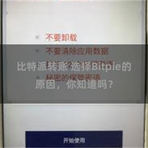 比特派转账 选择Bitpie的原因，你知道吗？