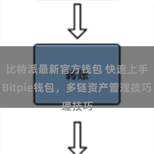 比特派最新官方钱包 快速上手Bitpie钱包，多链资产管理技巧