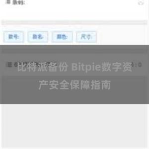 比特派备份 Bitpie数字资产安全保障指南