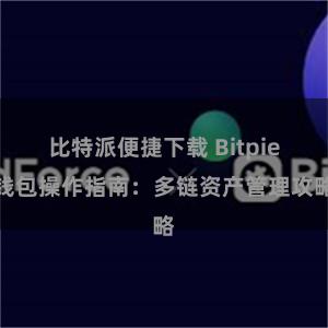 比特派便捷下载 Bitpie钱包操作指南：多链资产管理攻略