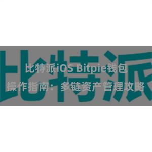 比特派iOS Bitpie钱包操作指南：多链资产管理攻略