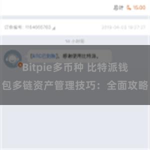 Bitpie多币种 比特派钱包多链资产管理技巧：全面攻略