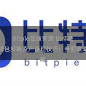 Bitpie在线管理 比特派钱包多链资产管理技巧：全面攻略