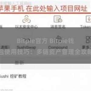 Bitpie官方 Bitpie钱包使用技巧：多链资产管理全攻略