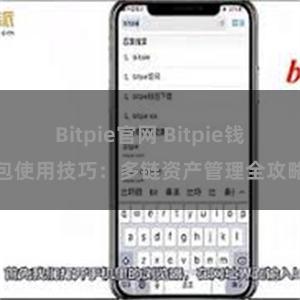 Bitpie官网 Bitpie钱包使用技巧：多链资产管理全攻略