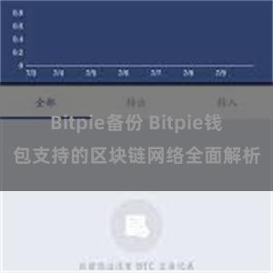 Bitpie备份 Bitpie钱包支持的区块链网络全面解析