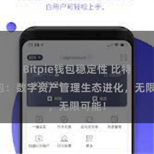 Bitpie钱包稳定性 比特派钱包：数字资产管理生态进化，无限可能！