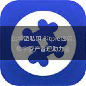 比特派私钥 Bitpie钱包：数字资产管理助力者