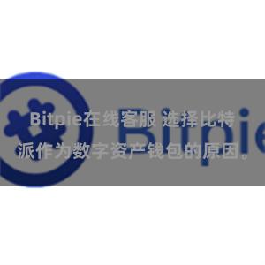 Bitpie在线客服 选择比特派作为数字资产钱包的原因。