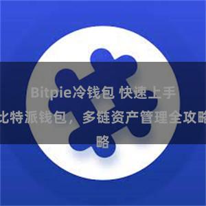 Bitpie冷钱包 快速上手比特派钱包，多链资产管理全攻略