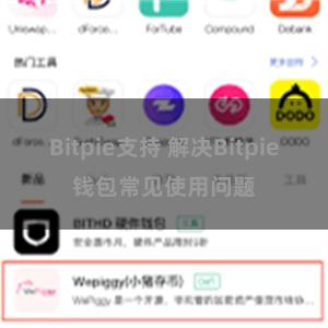 Bitpie支持 解决Bitpie钱包常见使用问题