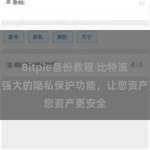 Bitpie备份教程 比特派钱包：强大的隐私保护功能，让您资产更安全