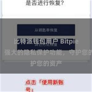 比特派钱包用户 Bitpie钱包：强大的隐私保护功能，守护您的资产