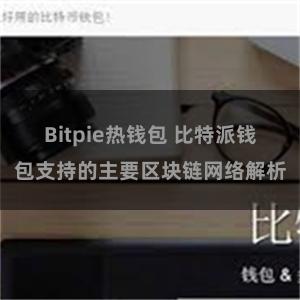 Bitpie热钱包 比特派钱包支持的主要区块链网络解析