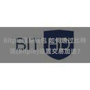 Bitpie国际钱包 如何通过比特派(Bitpie)设置交易加速？