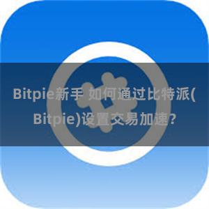 Bitpie新手 如何通过比特派(Bitpie)设置交易加速？