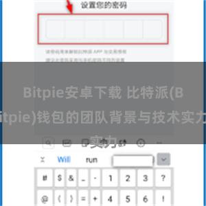 Bitpie安卓下载 比特派(Bitpie)钱包的团队背景与技术实力