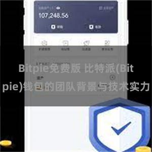 Bitpie免费版 比特派(Bitpie)钱包的团队背景与技术实力