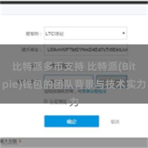 比特派多币支持 比特派(Bitpie)钱包的团队背景与技术实力