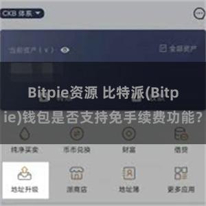 Bitpie资源 比特派(Bitpie)钱包是否支持免手续费功能？