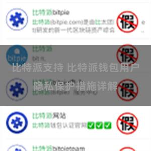 比特派支持 比特派钱包用户隐私保护措施详解