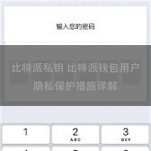 比特派私钥 比特派钱包用户隐私保护措施详解