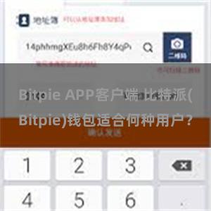 Bitpie APP客户端 比特派(Bitpie)钱包适合何种用户？